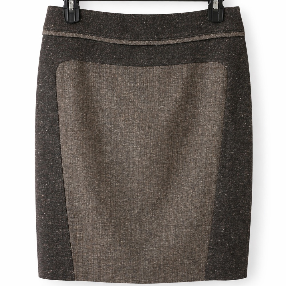 The Limited Classic Panel A-Line Skirt